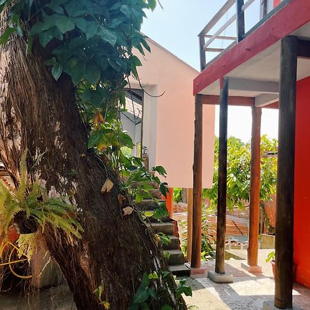 Morada Cacauera Apartment Itacare Ngoại thất bức ảnh